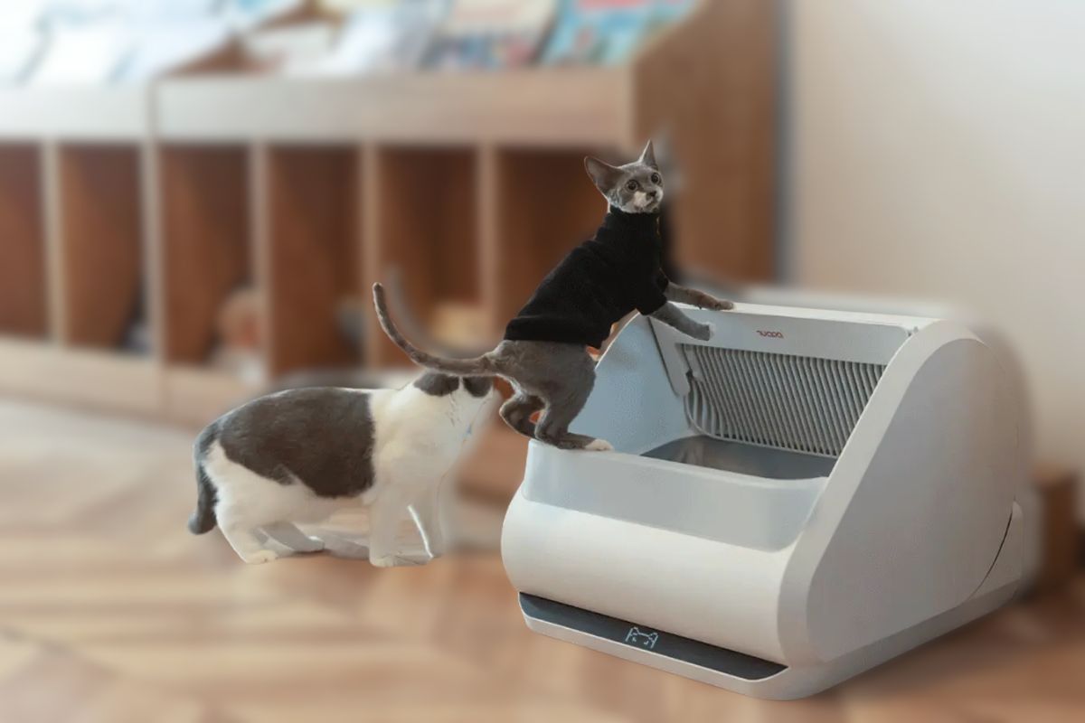 Limited-Time Deal: 10% Off Popur X5 Robot Automatic Cat Litter Box on Chewy