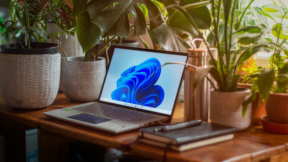 How the ASUS Vivobook 14 Makes Budget Laptops Fun in 2025