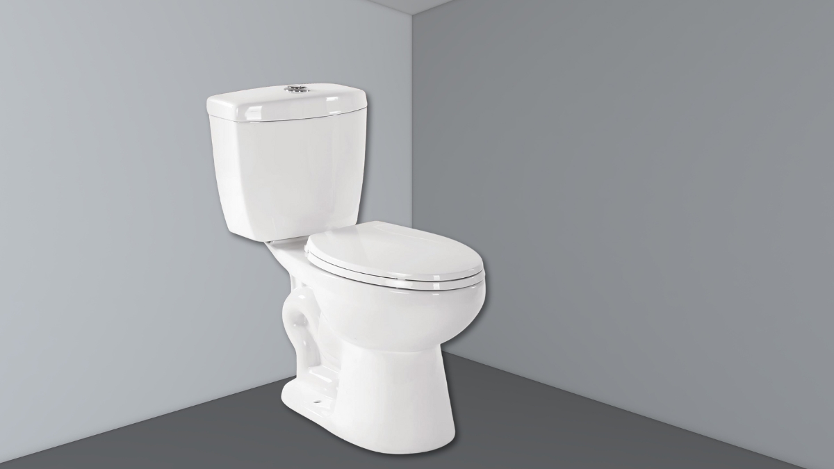 Game-Changer for Bathroom Comfort: 17-Inch Comfort Height Toilet with Dual Flush System