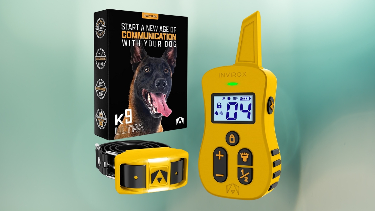 What You Need to Know Before Using the INVIROX Dog Shock Collar with Remote