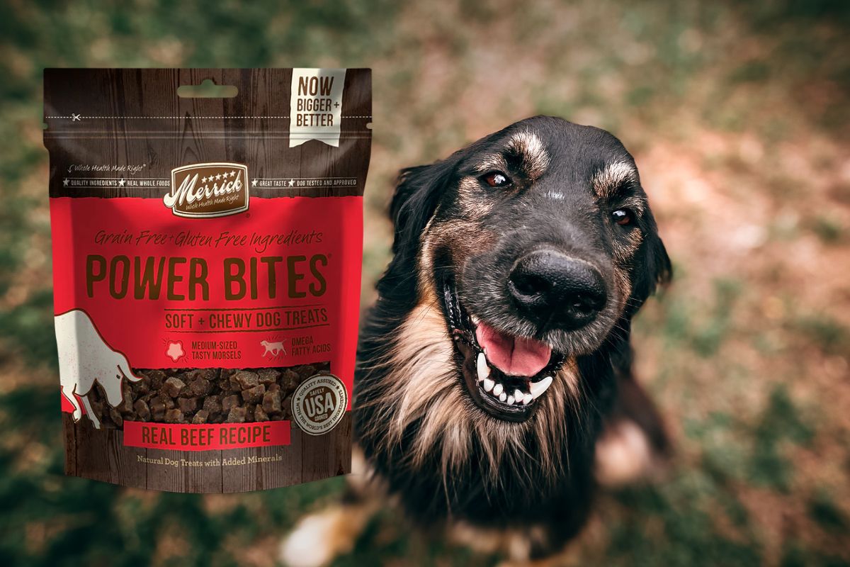 The Treat That Turns “Sit” Into “Sold!”: Why Dogs and Trainers Love Merrick Power Bites