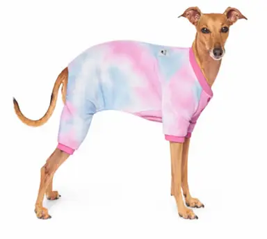 Canada Pooch Pink/Blue One Of A Kind Waffle Dog Onesie