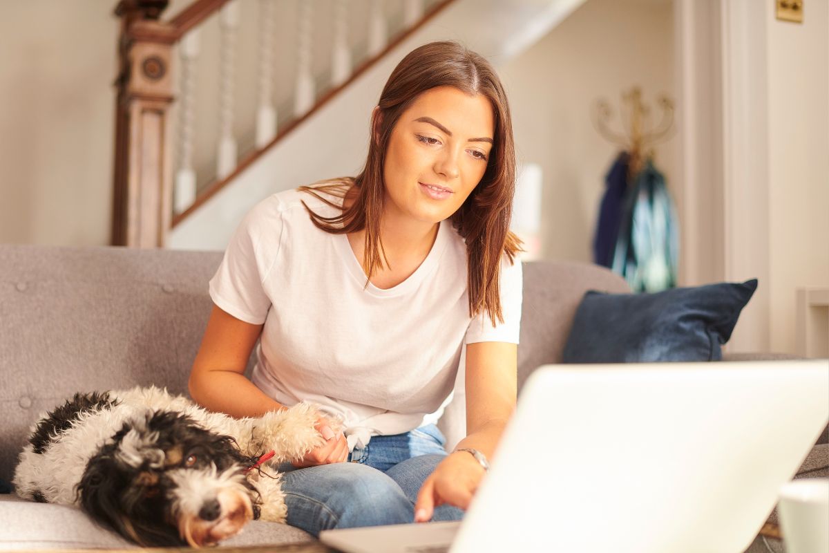 Pet Emergencies and Vet Bills: How Chewy Pet Insurance Can Help