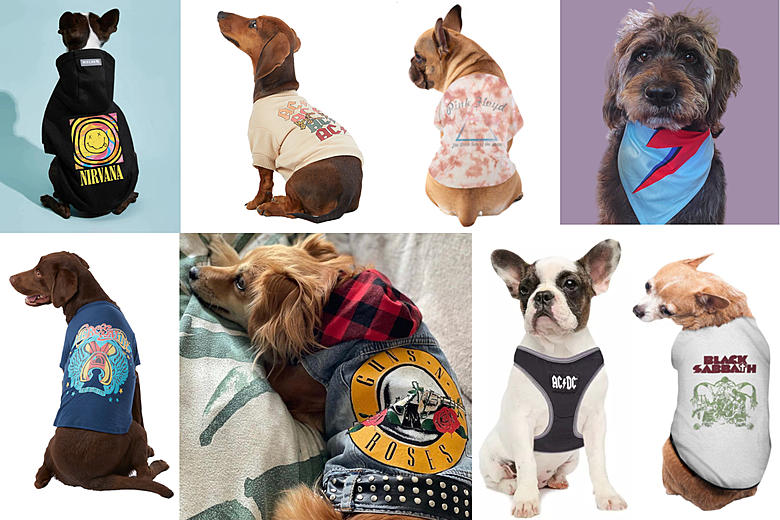 10 Best PETCO Dog Clothing and Accessories 2024