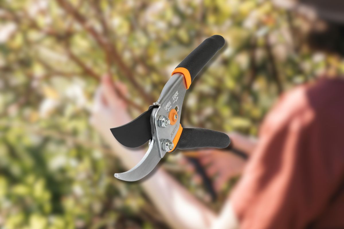 Fiskars Bypass Pruning Shears: The Ultimate Gardening Tool for Clean ...