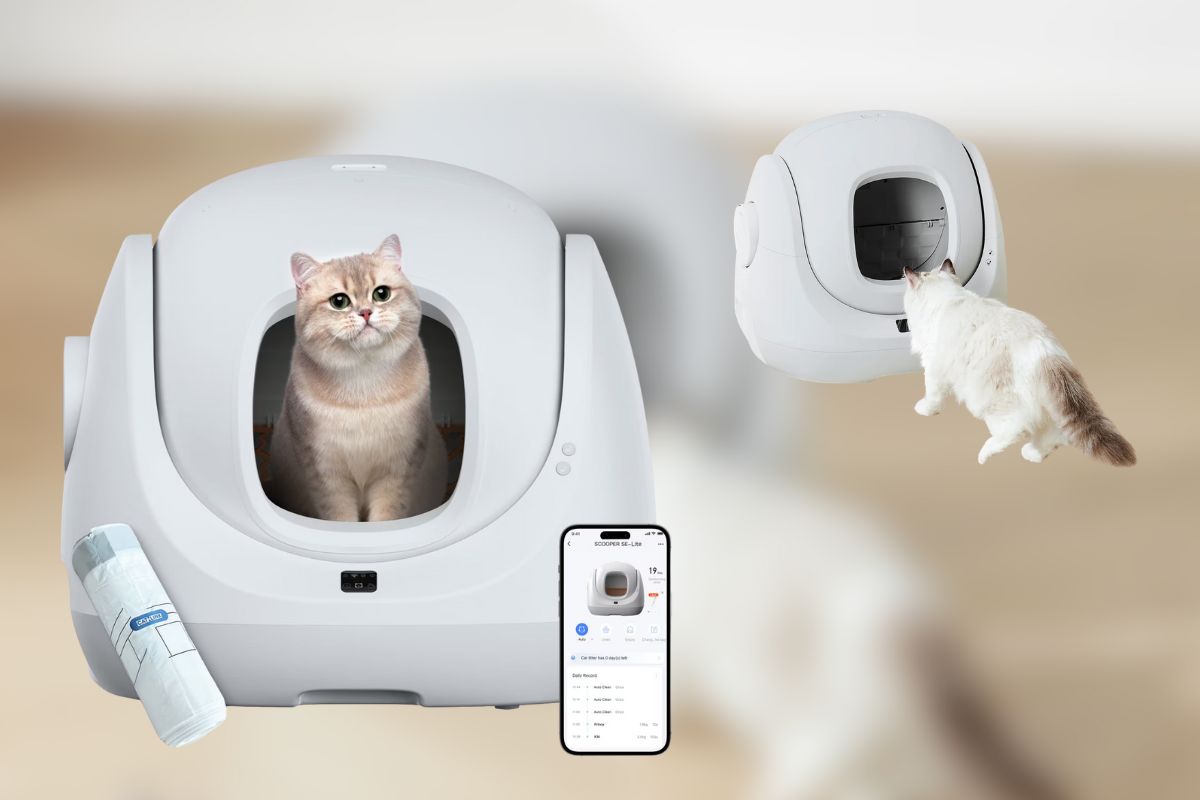 Smart Cat Tech, Smarter Price: CATLINK Scooper SE Lite Now 10% Off on Chewy