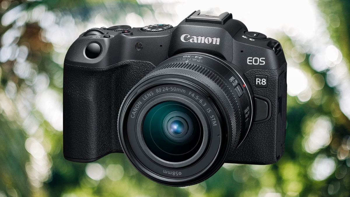 How the Canon EOS R8 Mirrorless Camera Helps You Shoot Clear Shots With Ease