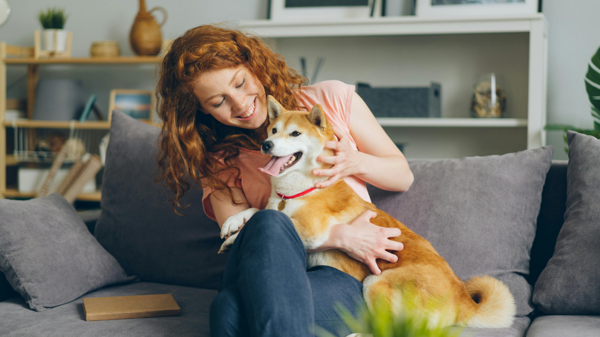 How to Create the Perfect Daily Routine for Your Pet