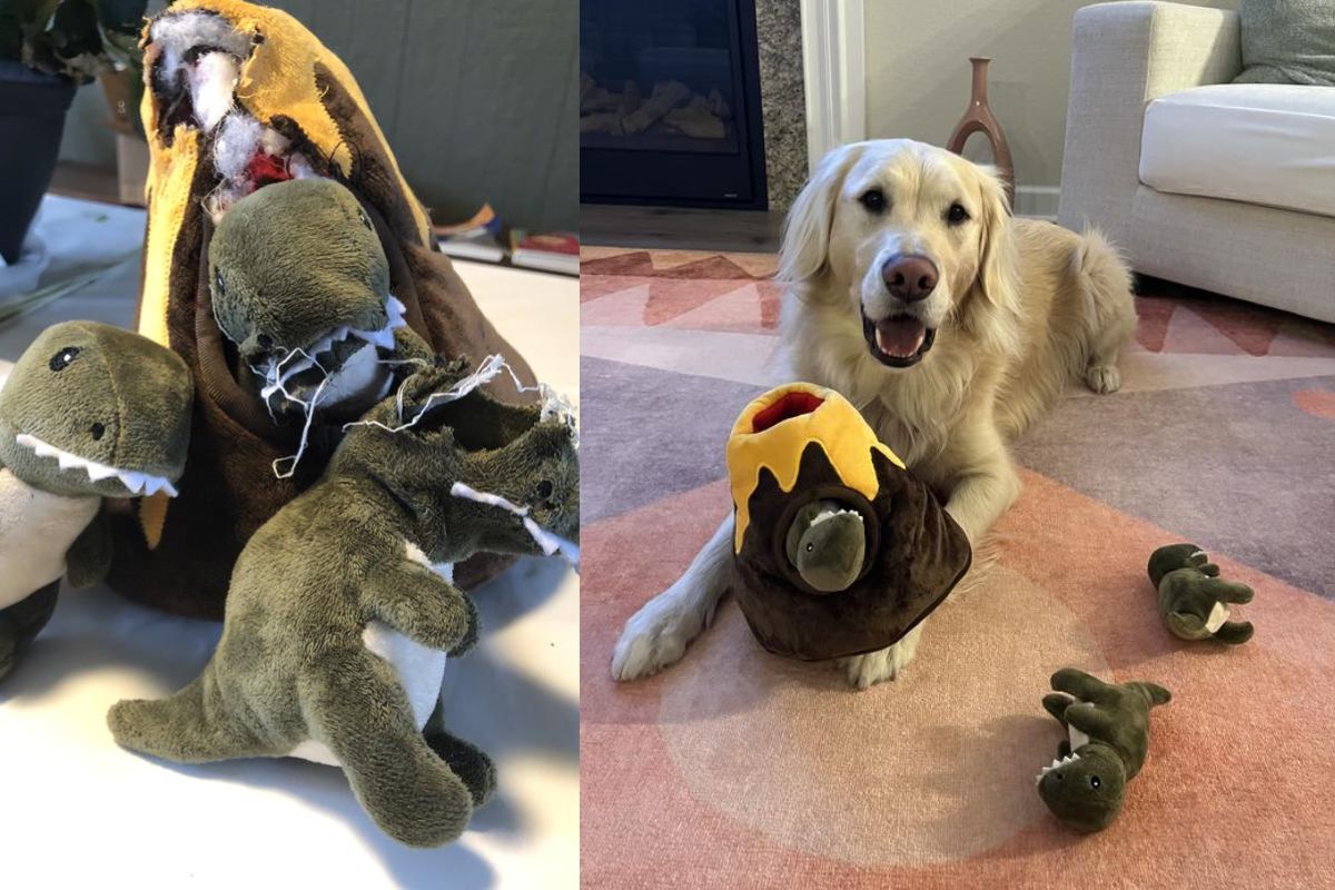 Exploring the Frisco Volcano Puzzle Toy: A Squeaky, Stimulating Hit for Dogs