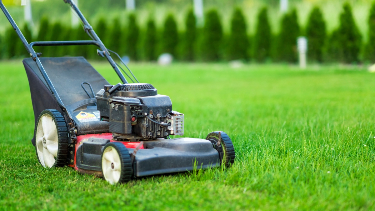 Why Homeowners Are Switching to Greenworks Cordless Lawn Mower – A Closer Review
