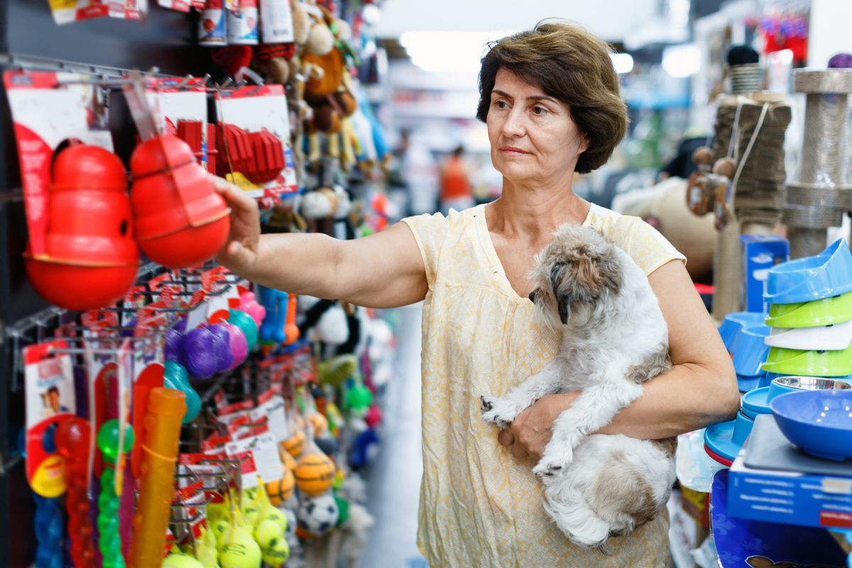 $15 or Less: Our Honest Review of Chewy's Budget Pet Products

