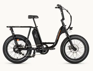 RadRunner™ 2 Electric Utility Bike