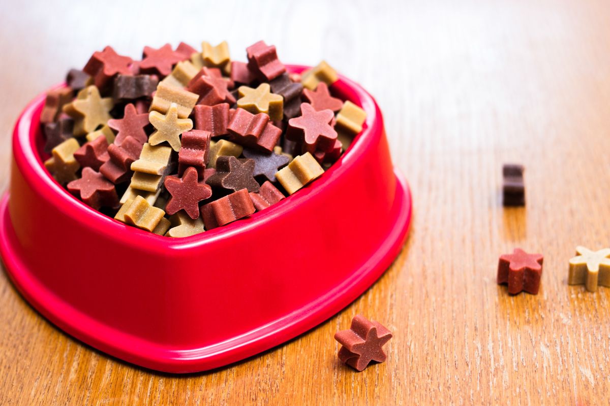 Grain-Free, Raw, or Chewy? 5 Best Dog Treats by Diet on Chewy.com for 2025