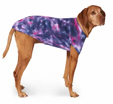 Canada Pooch Purple Wild Side Dog Sweater