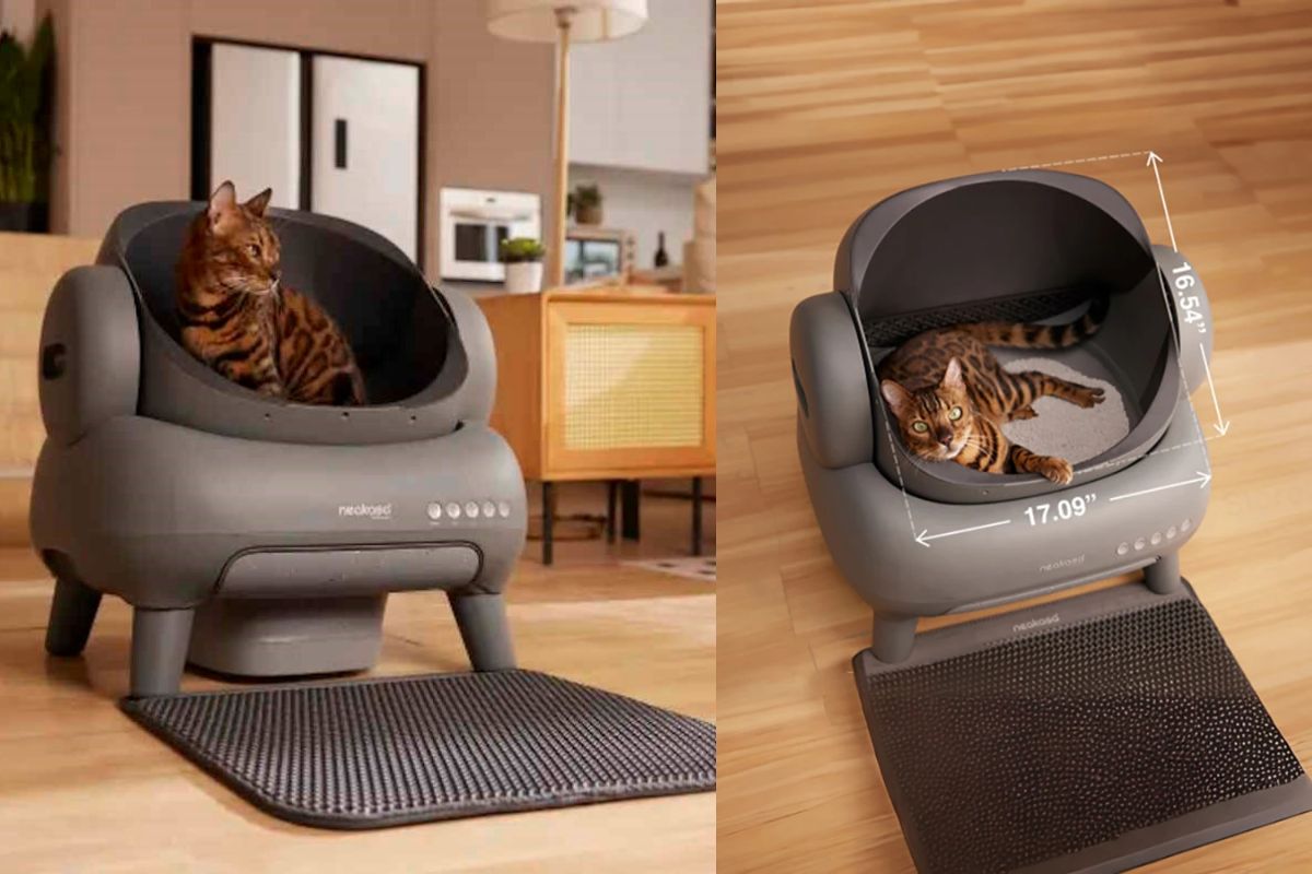 Why Cat Owners Are Rushing to Buy the Neakasa M1 at 30% Off on Chewy