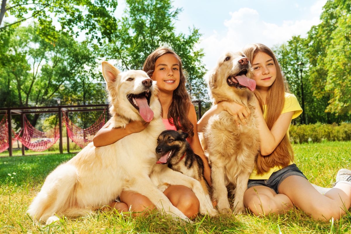 Paws & Savings: The Best Chewy Deals Pet Parents Can't Miss Today