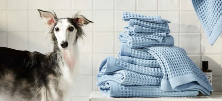 Waffle Towel Move-In Bundle