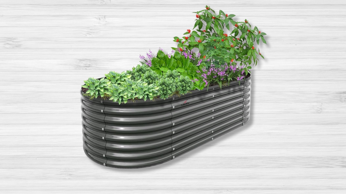Why You Need This Large Galvanized Raised Garden Bed for Your Flowers