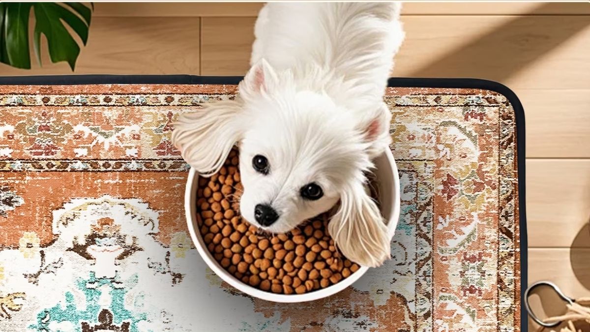 PatiencET Super Absorbent Non-Slip Washable Dog Pee Pads: A Reusable Solution for Puppy Training