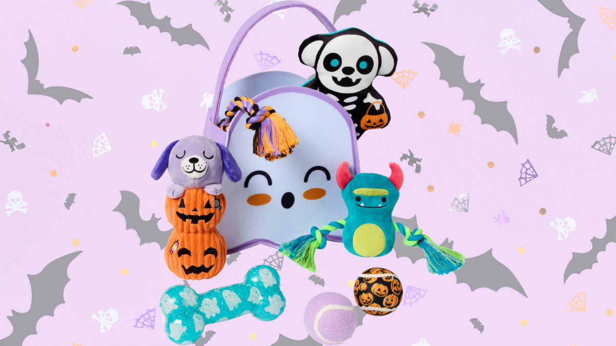 Frisco Halloween Ghost Boo Bag Variety Pack Dog Toy: 7 Halloween Toys in One Festive Set