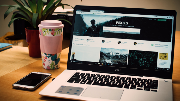 Maximizing BlueHost eCommerce Essentials: The Ultimate Website Management Guide