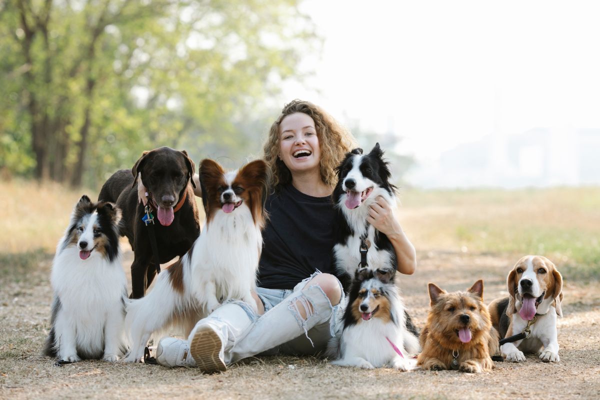 Chewy's Buy 3, Get 4th Free Sale: Ultimate Guide to Maximizing Your Pet Savings