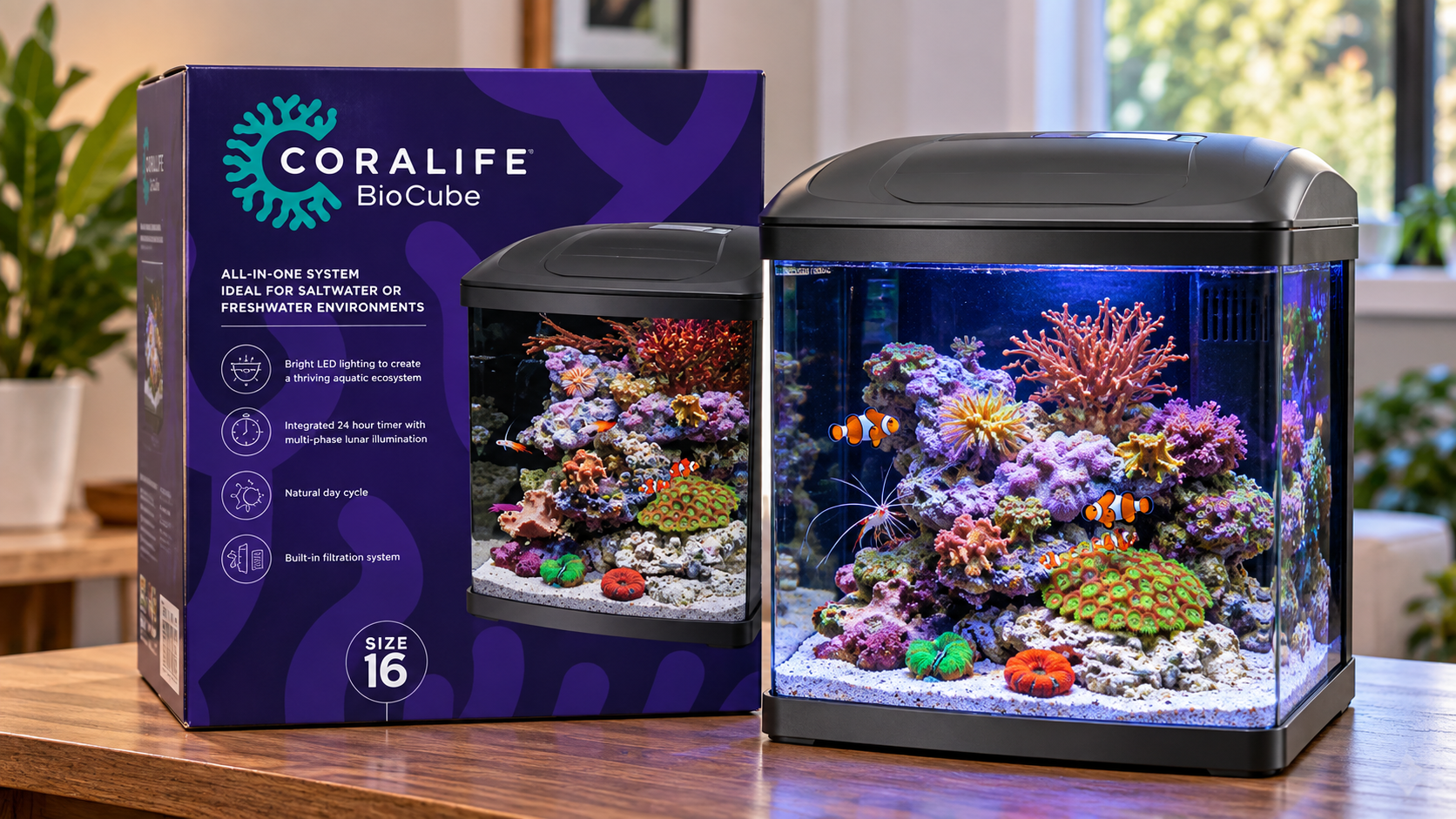 Why the Coralife LED BioCube Aquarium Kit Makes Aquarium Setup Easier