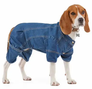 Reddy Denim Jumpsuit for Dogs