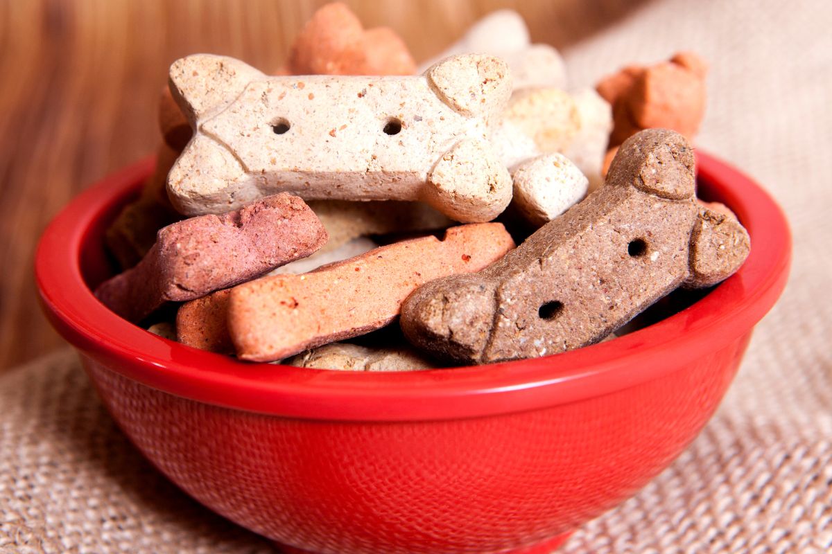 Grain-Free, Raw, or Chewy? 5 Best Dog Treats by Diet on Chewy.com for 2025