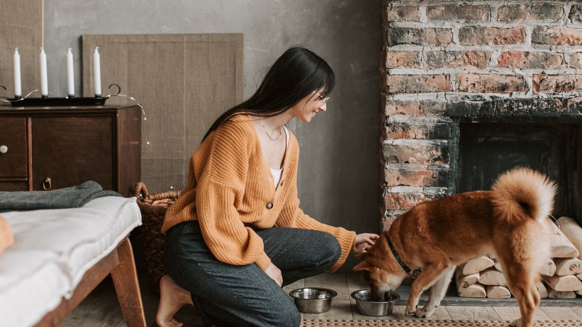 Best Grain-Free Dog Food: Pros, Cons, and Top Picks