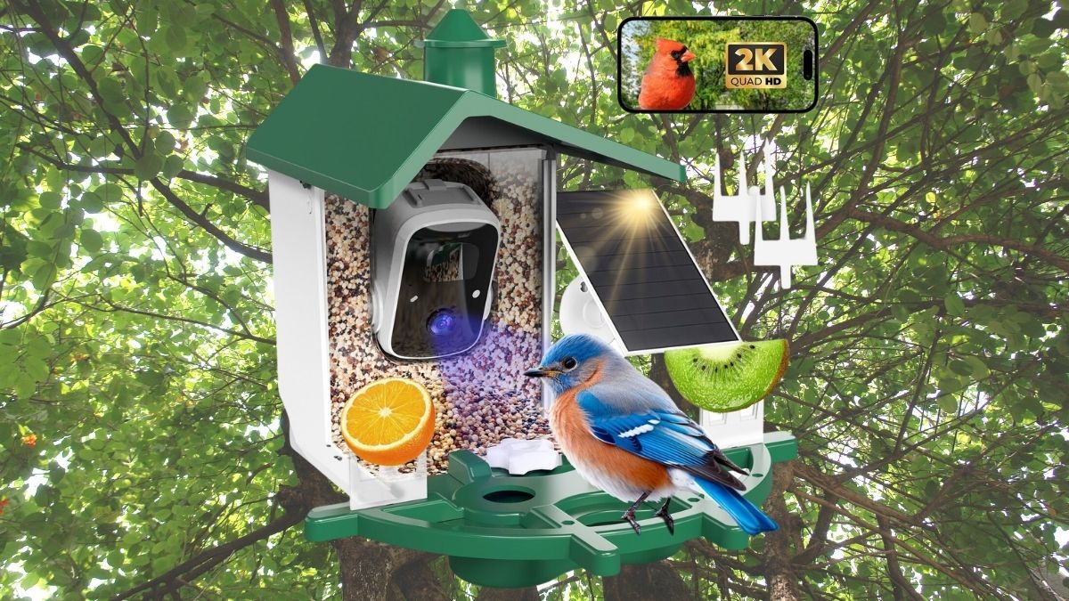 Mutrelenx Solar Powered AI Birds Recognition & Instant Alerts Outdoor Weatherproof Smart Bird Feeder with Camera