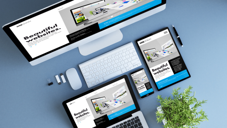 BlueHost Starter Package: The Perfect Launchpad for First-Time Website Owners in 2025