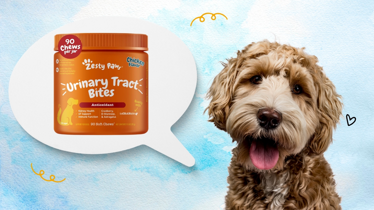 How Zesty Paws Cranberry Bladder Bites for Dogs Support Healthier Tummies and Happier Bladders
