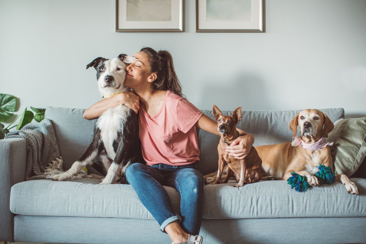 For Multi-Pet Homes: Making the Most of Chewy's First Autoship Discount