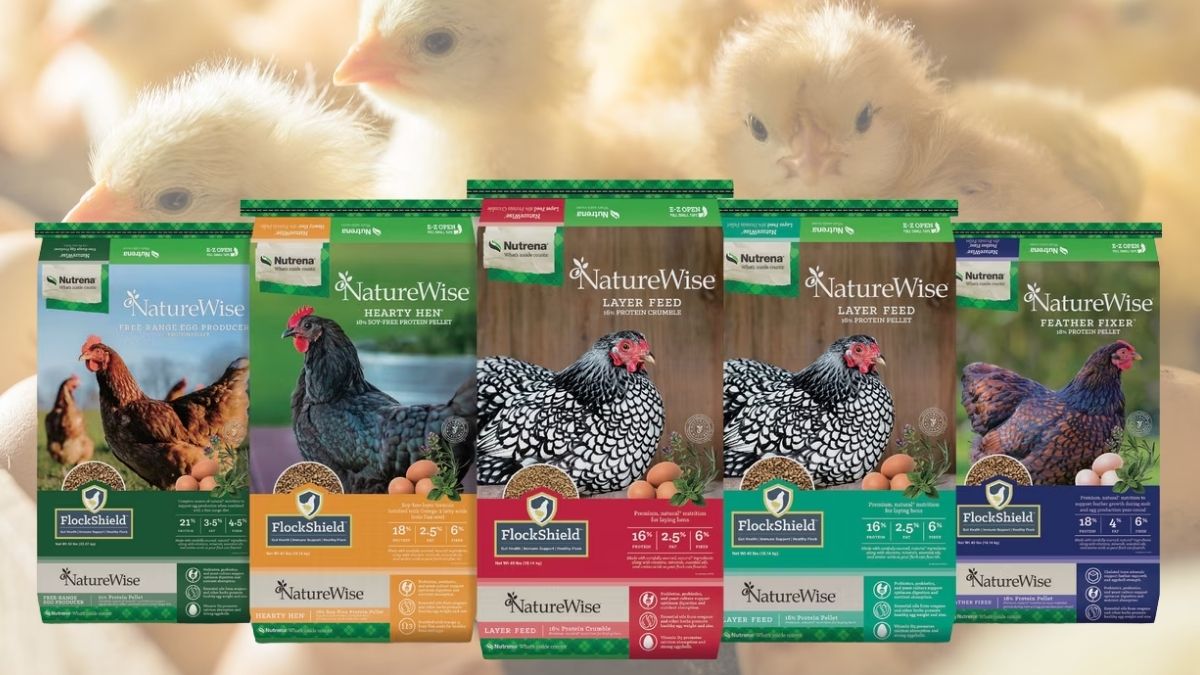Nutrena Nature Smart Organic Chick Starter Grower Feed: Is Organic Worth It for Your Flock
