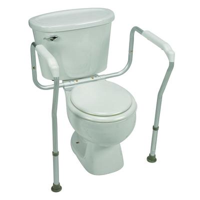 HealthSmart Toilet Safety Arm Support with BactiX, Rust-resistant aluminum