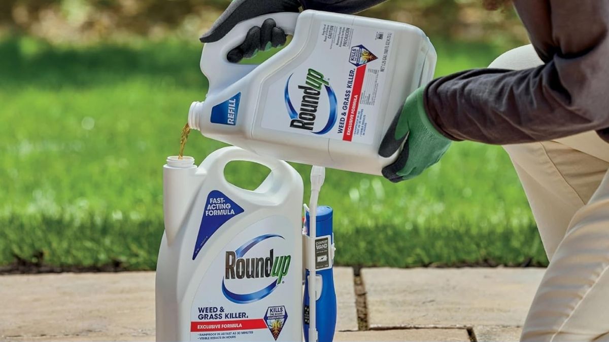 Roundup Weed & Grass Killer 4 Refill: Is It Worth Using for Tough Weeds?