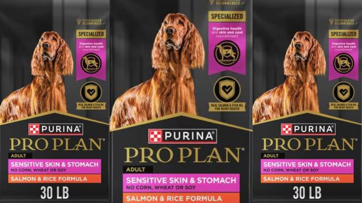 Purina Pro Plan Sensitive Skin & Stomach: Smart Nutrition for Sensitive Dogs