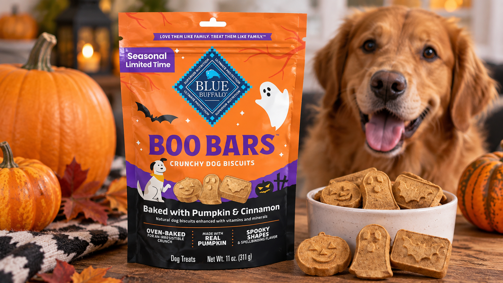 Why Pumpkin and Cinnamon Dog Biscuits Make Great Seasonal Rewards