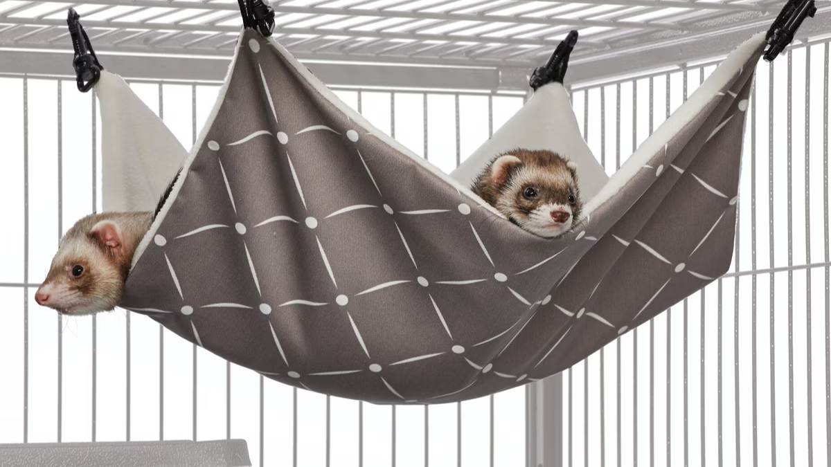 MidWest Large Hanging Hammock: A Cozy and Practical Resting Space for Ferrets and Rats