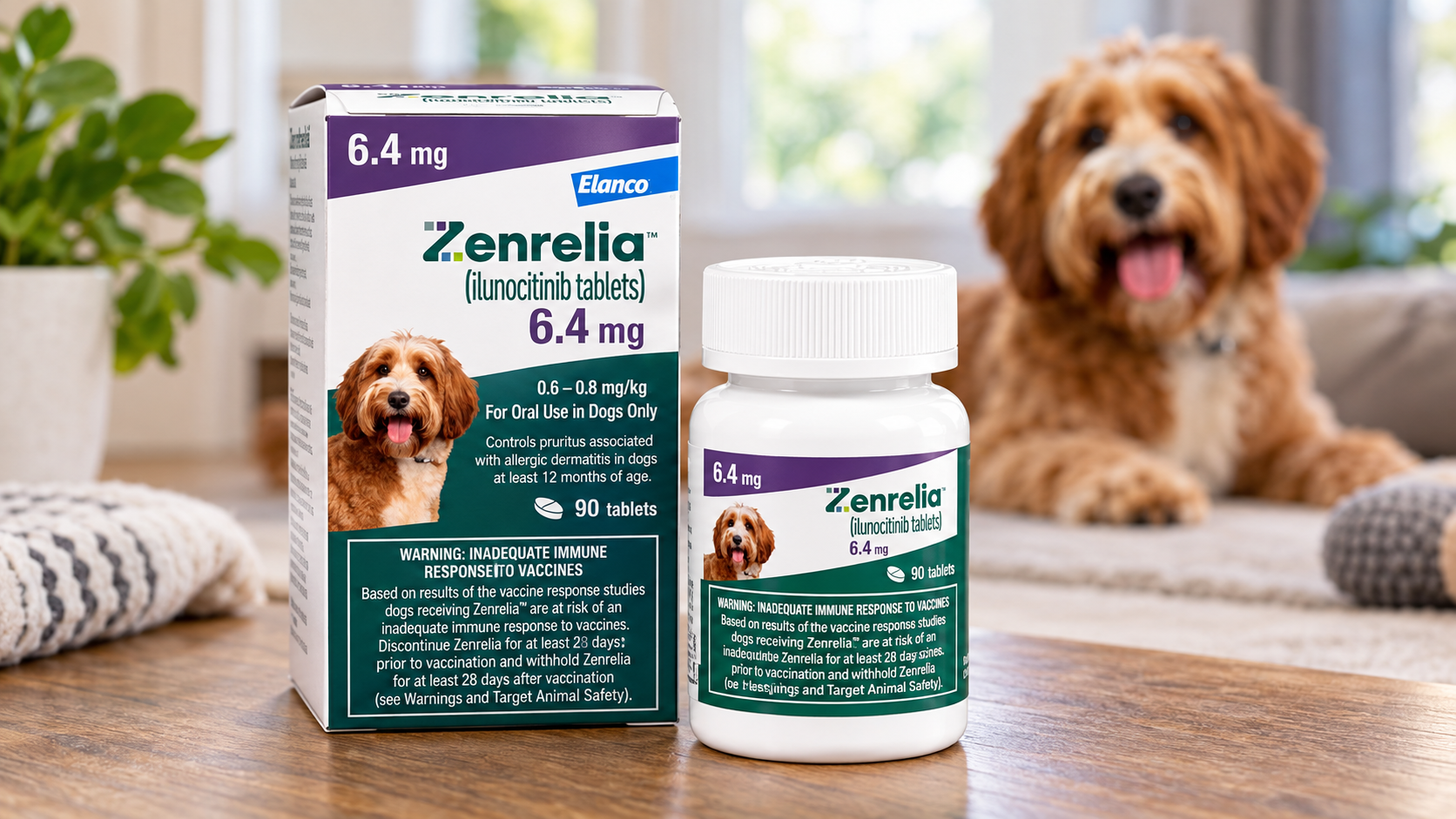Zenrelia for Dogs: How This Once-Daily Allergy Treatment Works