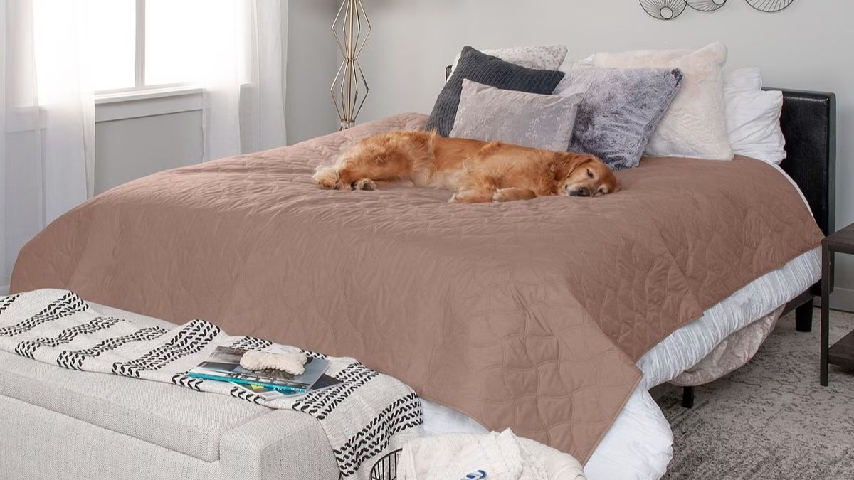 FurHaven Waterproof Cat & Dog Blanket Protector: Keep Furniture and Bedding Protected from Everyday Pet Messes