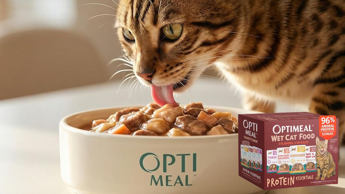 Optimeal Savory Protein Selection: Is This Wet Cat Food Variety Pack Good for Your Cat