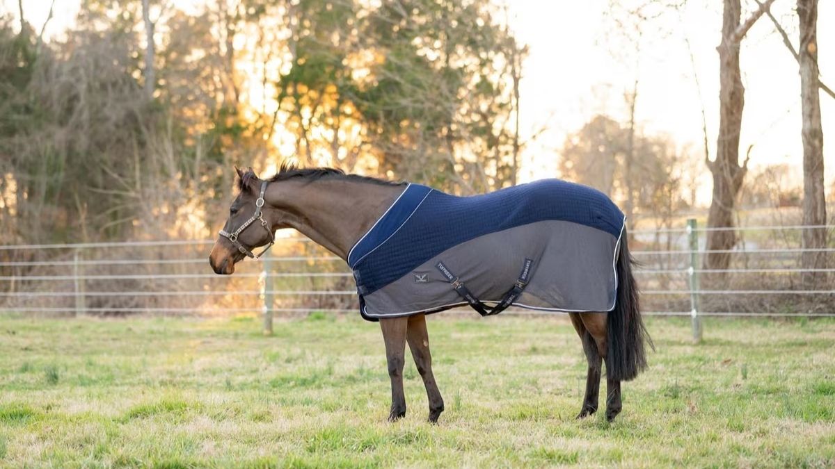 TuffRider Hybrid Standard Neck Horse Cooler Sheet Review