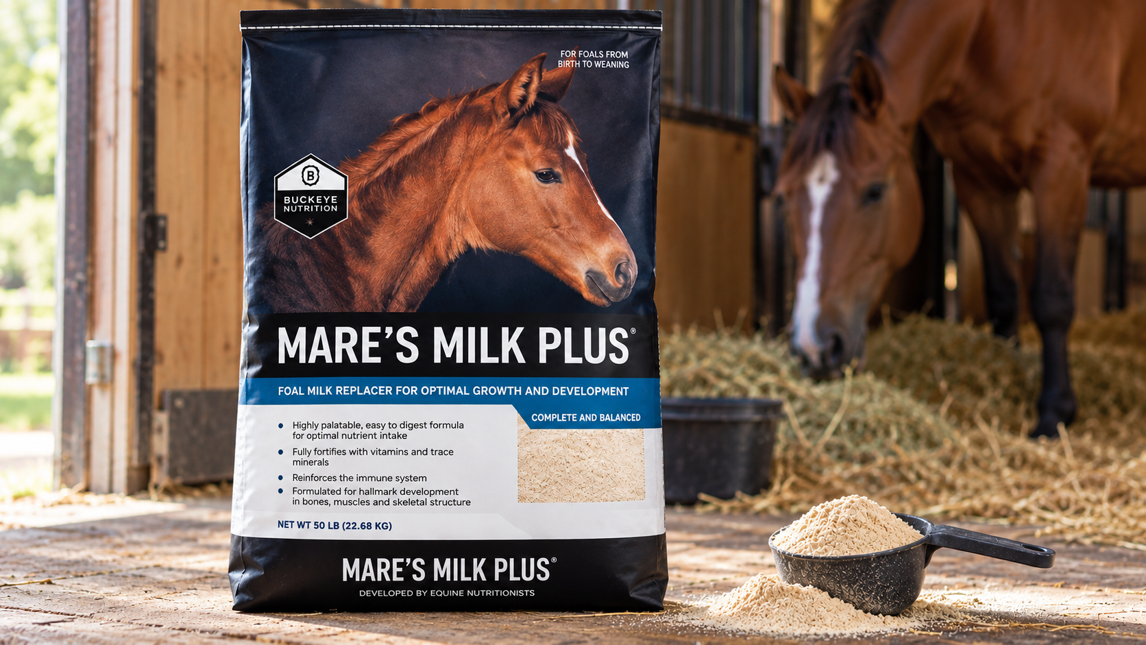 How Buckeye Nutrition Mare’s Milk Plus Supports Orphaned and Rejected Foals